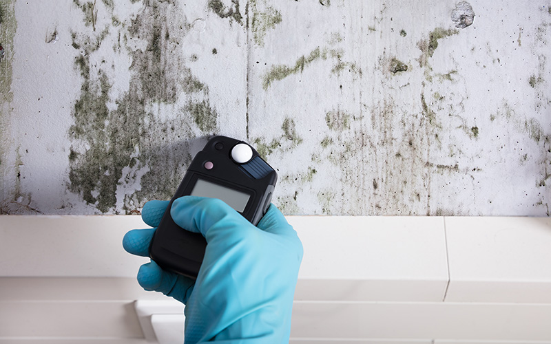 Person Hand Wearing Gloves Measuring Wetness Mold Home Inspection Services
